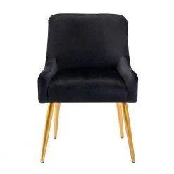 Black Modern Velvet Upholstered Side Chair with Golden Legs(Set of 1) by Kahomvis -Kahomvis Sales Store black kahomvis accent chairs bb lkpp 8aae c3 1000