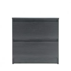 2-Drawer Black Chest of-Drawers (19.68 in. H x 19.68 in. W x 15.74 in. D) by Kahomvis