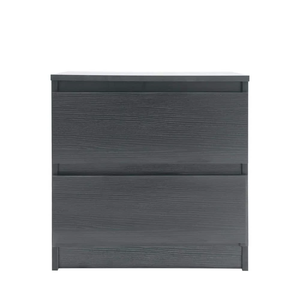 2-Drawer Black Chest of-Drawers (19.68 in. H x 19.68 in. W x 15.74 in. D) by Kahomvis 1 2-Drawer Black Chest of-Drawers (19.68 in. H x 19.68 in. W x 15.74 in. D) by Kahomvis
