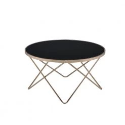 34 in. Black Round Glass Top Coffee Table with Champagne Metal Frame by Kahomvis