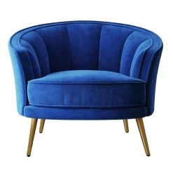 Blue Modern Velvet Upholstered Accent Barrel Chair (Set of 1) by Kahomvis