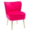 Fuchsia Velvet Fabric Upholstered Side Chair(Set of 1) by Kahomvis