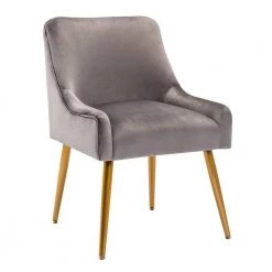 Grey Modern Velvet Upholstered Side Chair with Golden Legs(Set of 1) by Kahomvis