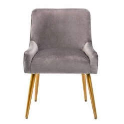 Grey Modern Velvet Upholstered Side Chair with Golden Legs(Set of 1) by Kahomvis -Kahomvis Sales Store grey kahomvis accent chairs bb lkpp 8aad c3 1000
