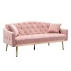 65.3 in. Pink Velvet Fabric Upholstered 2-Seater Loveseat with Metal Feet and Pillows, Tufted Adjustable Back Sofa Bed by Kahomvis