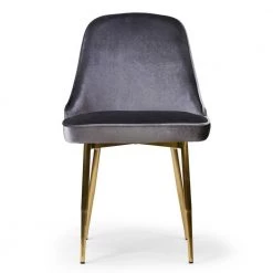 Alpha Sandy Brown Velvet Chair with Brushed Golden Steel Legs (Set of 2) by Glamour Home -Kahomvis Sales Store sandy brown glamour home dining chairs ghdc 1409 1f 1000