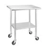30 in. Stainless Steel Heavy Duty Garage Workstation Kitchen Utility Table with Universal Wheels and Adjustable Shelf by Kahomvis